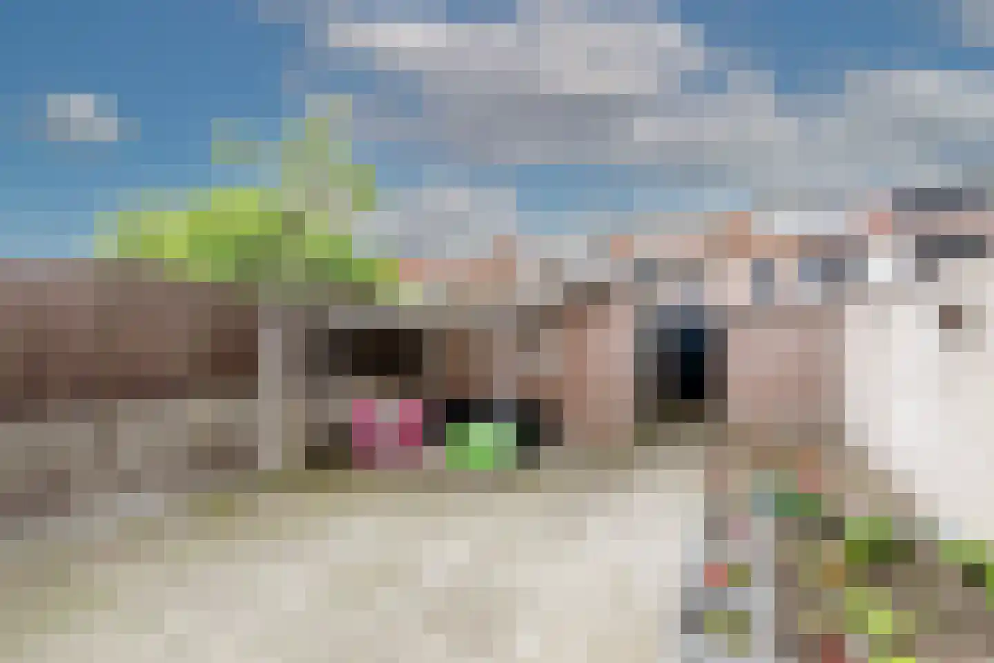 Kruiningenstraat 39 Tilburg thumbnail 32