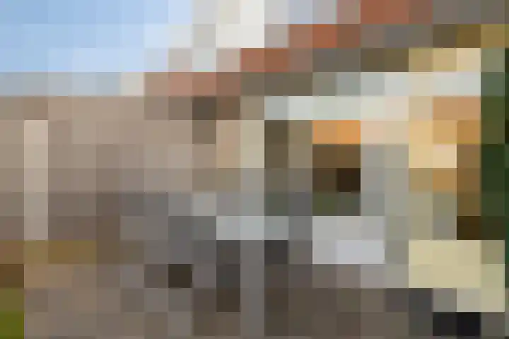 Kruiningenstraat 45 Tilburg thumbnail 32