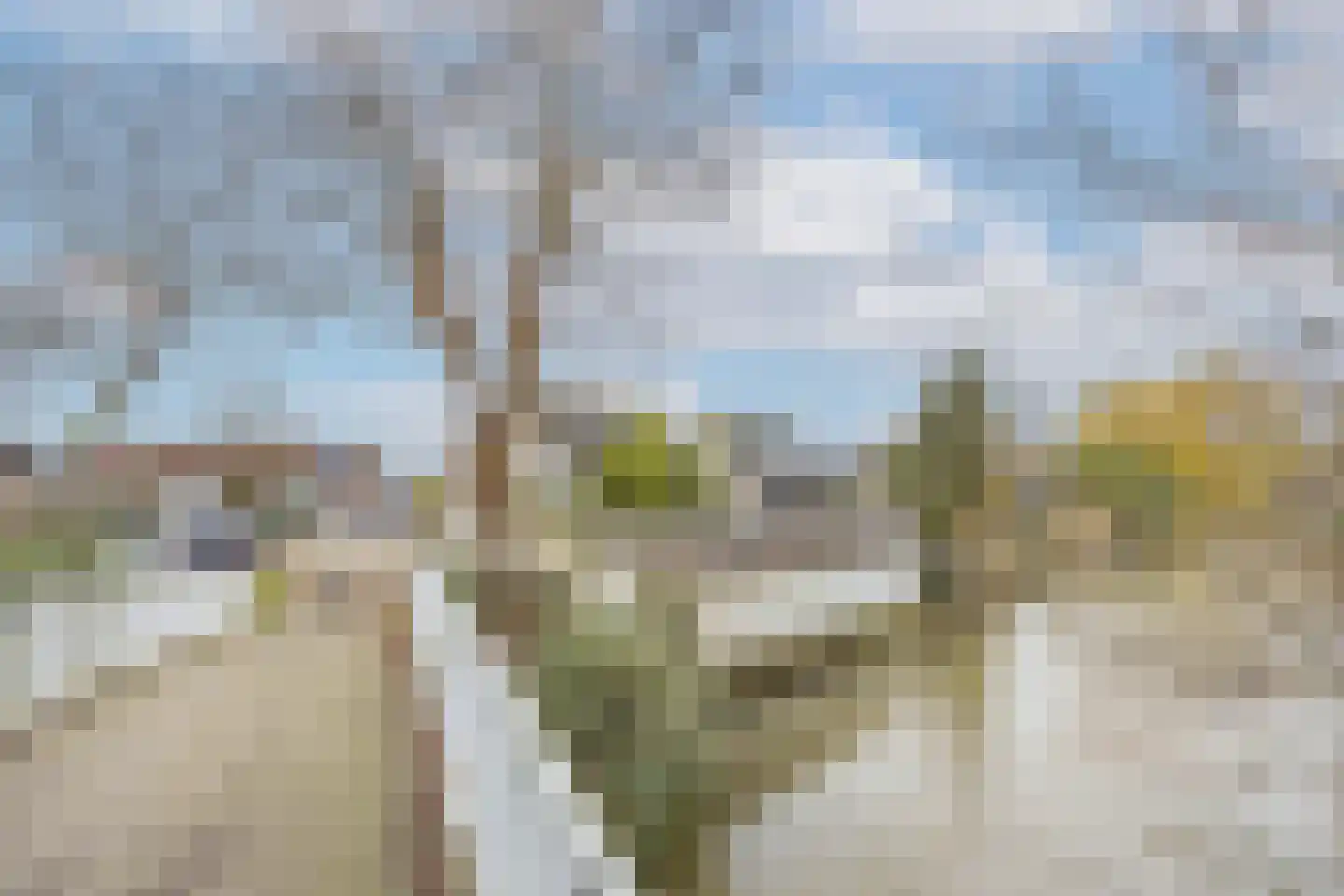 Kruiningenstraat 46 Tilburg thumbnail 25