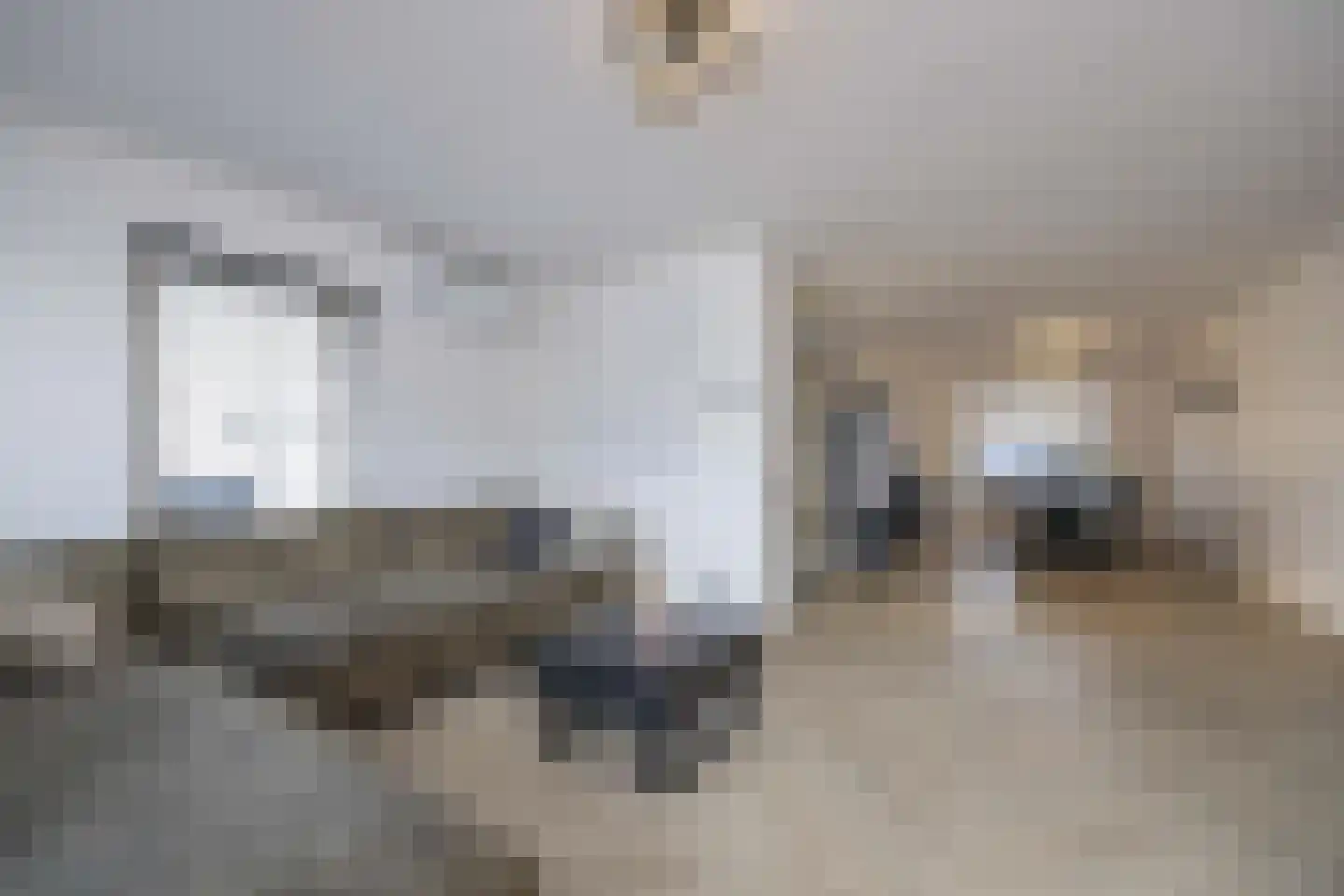 Kruiningenstraat 46 Tilburg thumbnail 7