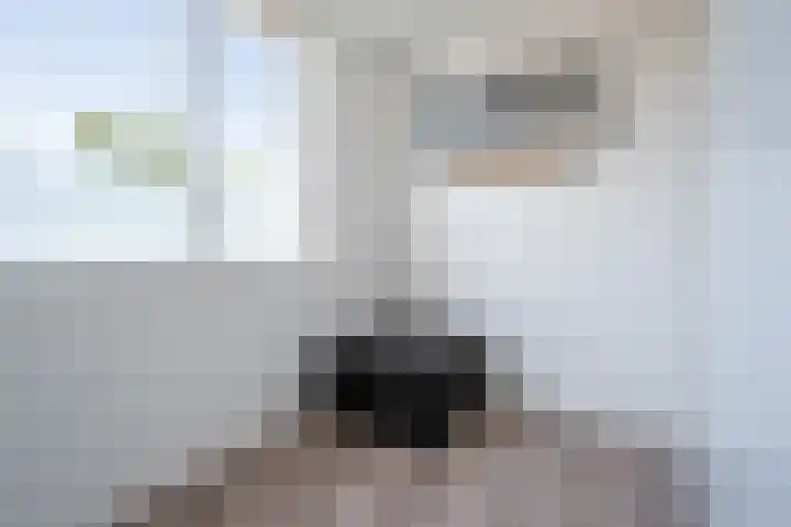 Kruiningenstraat 73 Tilburg thumbnail 15