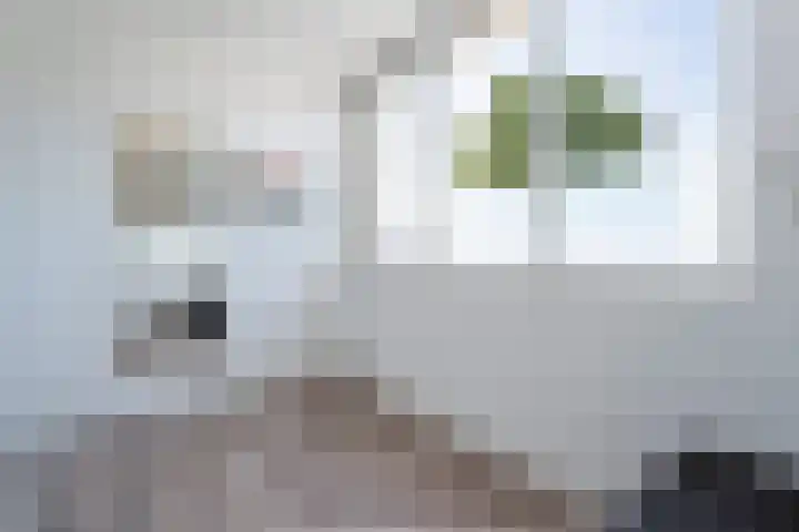 Kruiningenstraat 73 Tilburg thumbnail 16