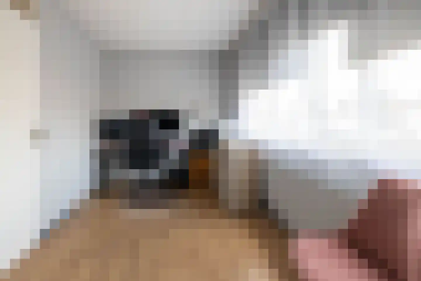 Kruiningenstraat 75 Tilburg thumbnail 13