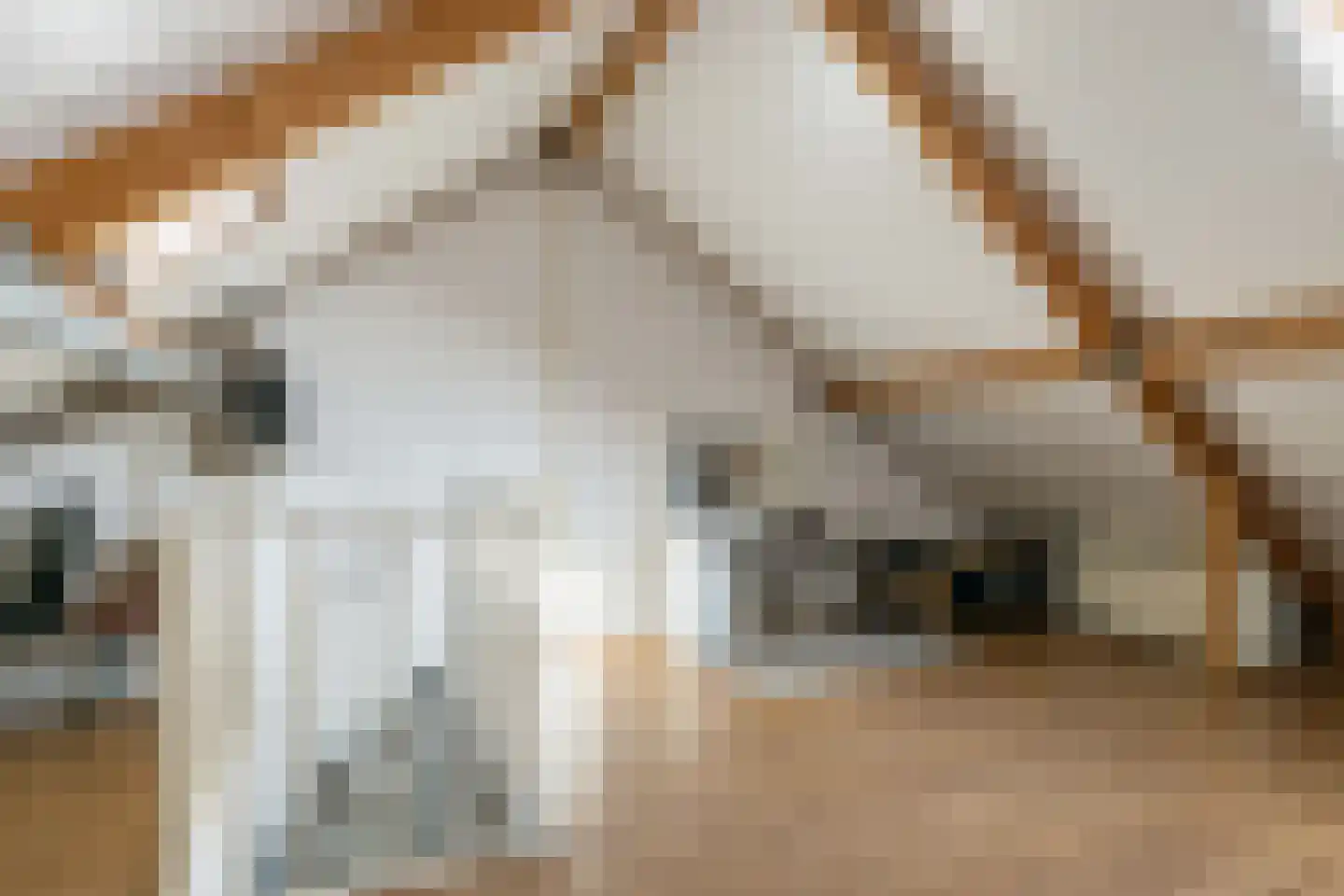 Kruiningenstraat 75 Tilburg thumbnail 17