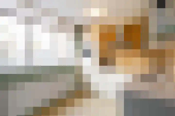 Kruiningenstraat 75 Tilburg thumbnail 6