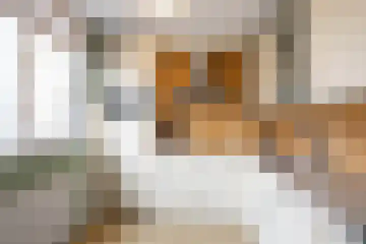 Kruiningenstraat 75 Tilburg thumbnail 7