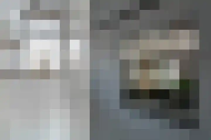 Kruinstraat 2 J Wanroij thumbnail 8