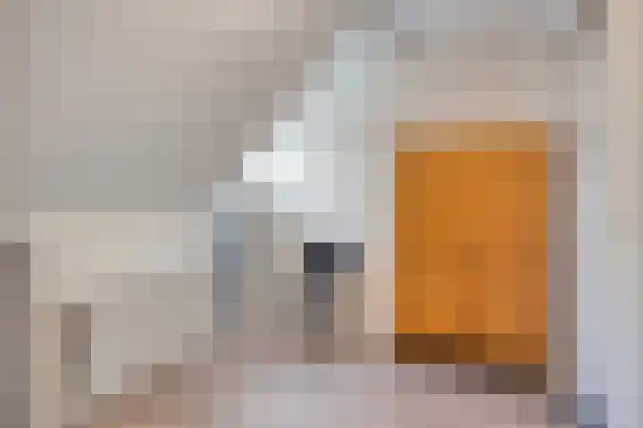 Kruinstraat 6 Wanroij thumbnail 24
