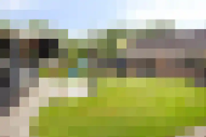 Kruinstraat 6 Wanroij thumbnail 32