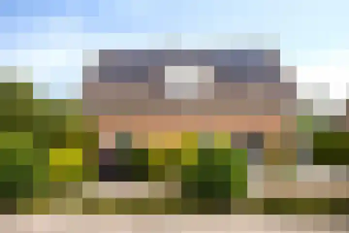 Kruinstraat 6 Wanroij thumbnail 42