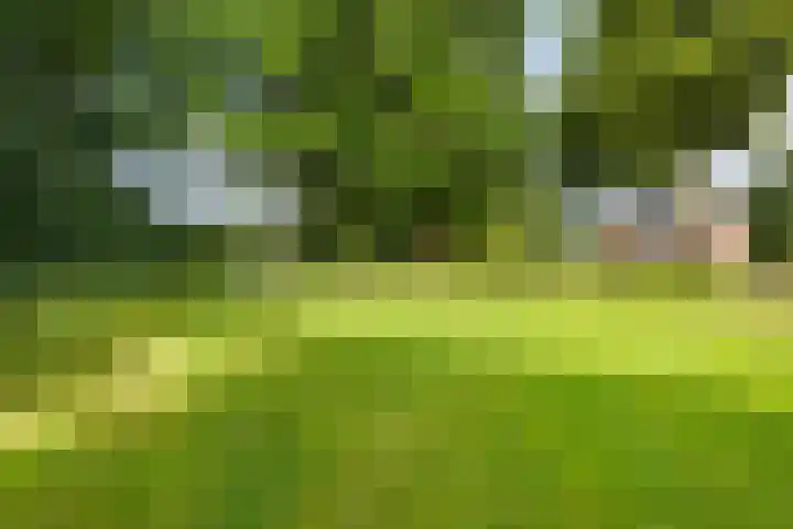 Kruinstraat 6 Wanroij thumbnail 43