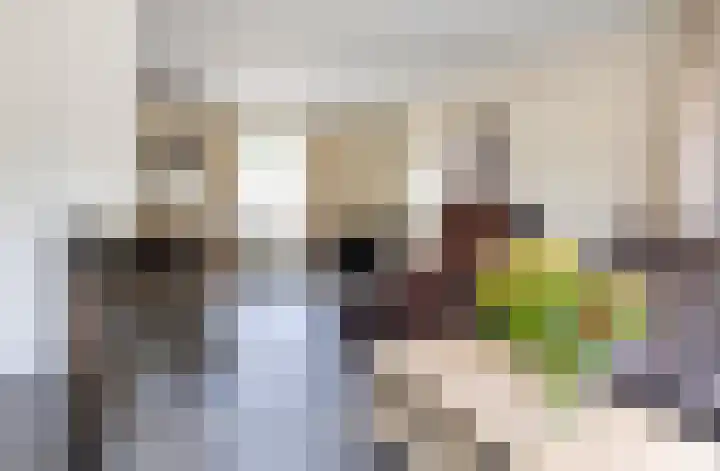 Kruinstraat 6 Wanroij thumbnail 7