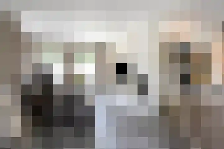 Kruinstraat 6 Wanroij thumbnail 8