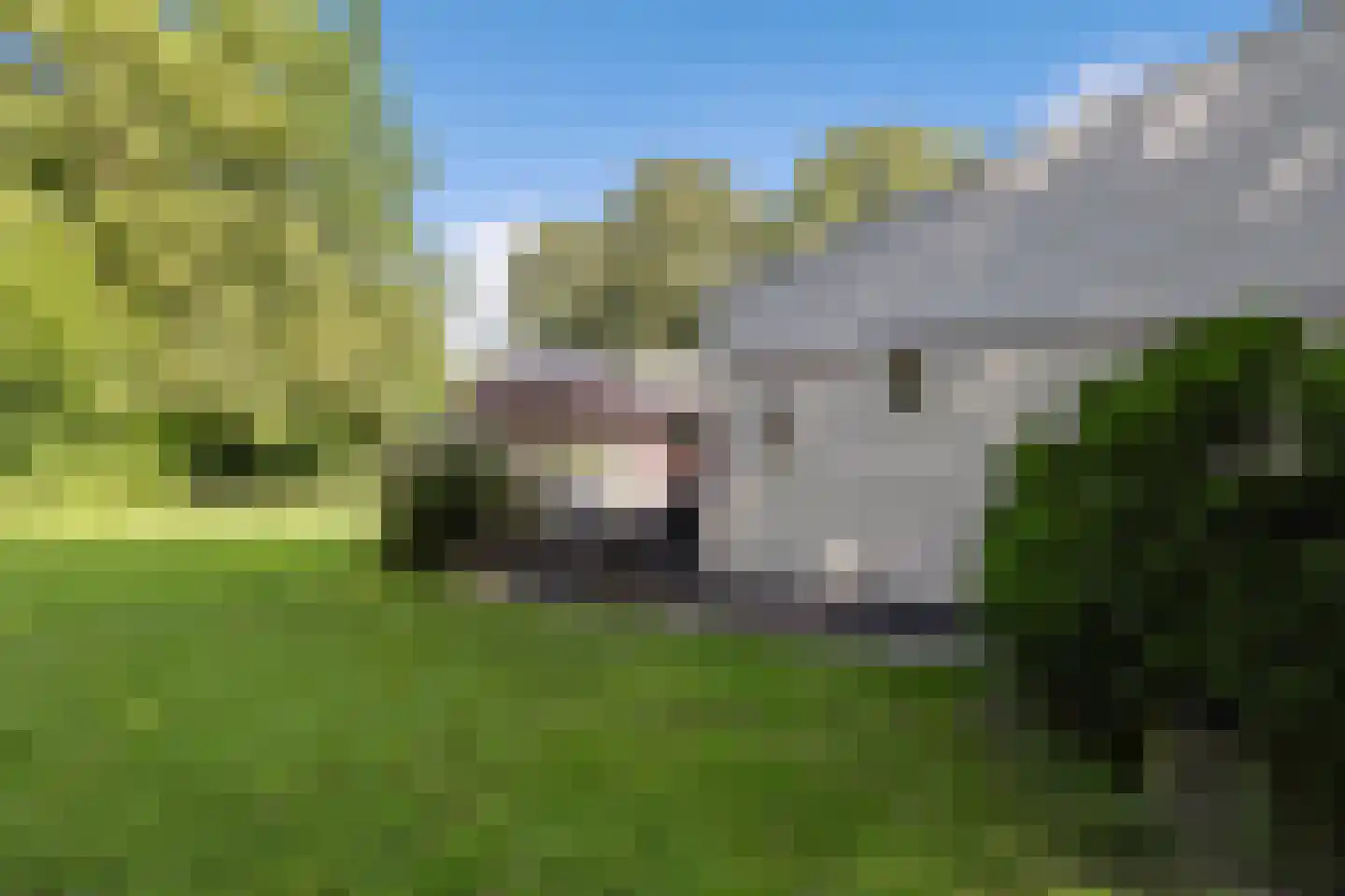 Kruinweg 1 b 024 Simpelveld thumbnail 15