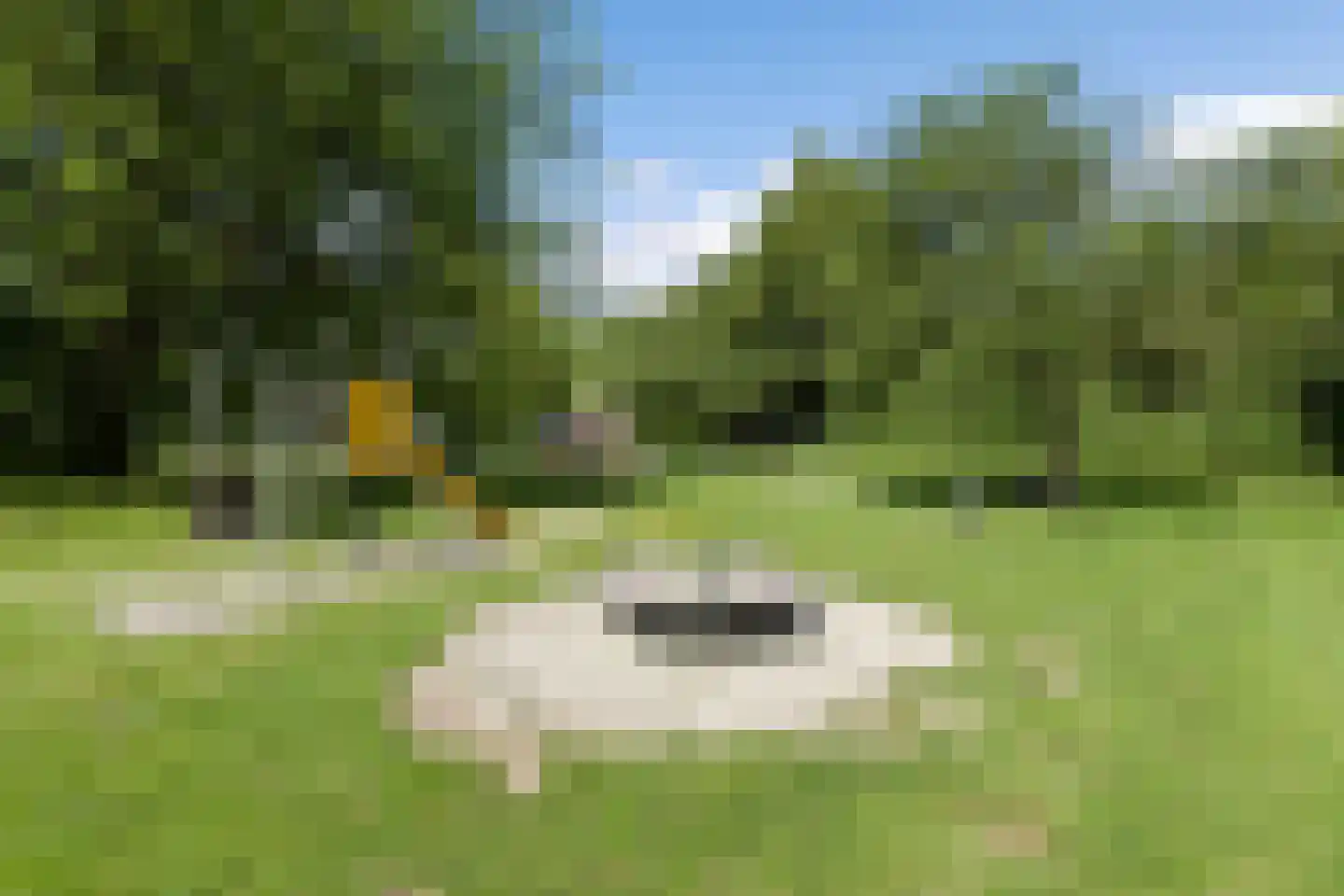 Kruinweg 1 b 024 Simpelveld thumbnail 16