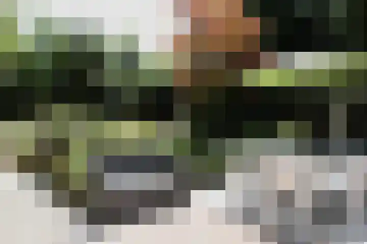 Kruinweg 1 b 058 Simpelveld thumbnail 16