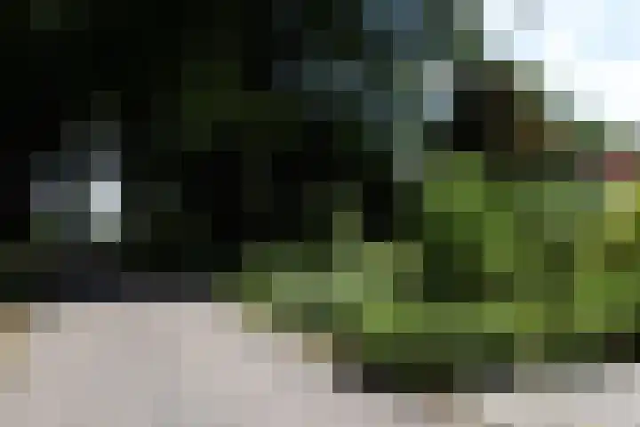 Kruinweg 1 b 058 Simpelveld thumbnail 4