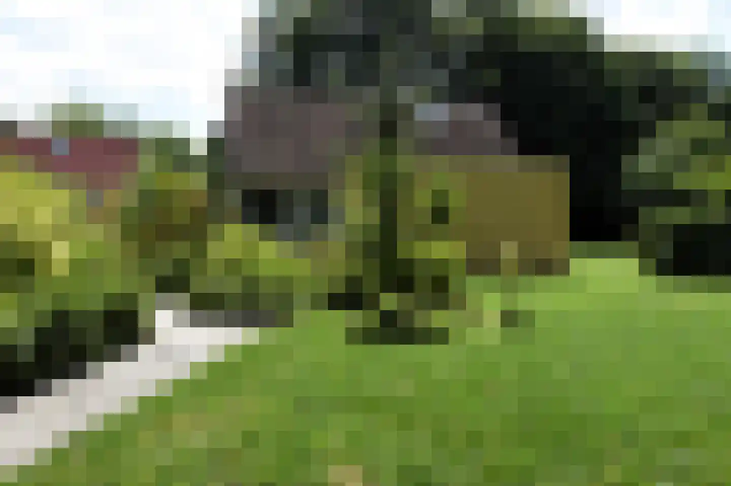 Kruinweg 1 b 059 dans Simpelveld