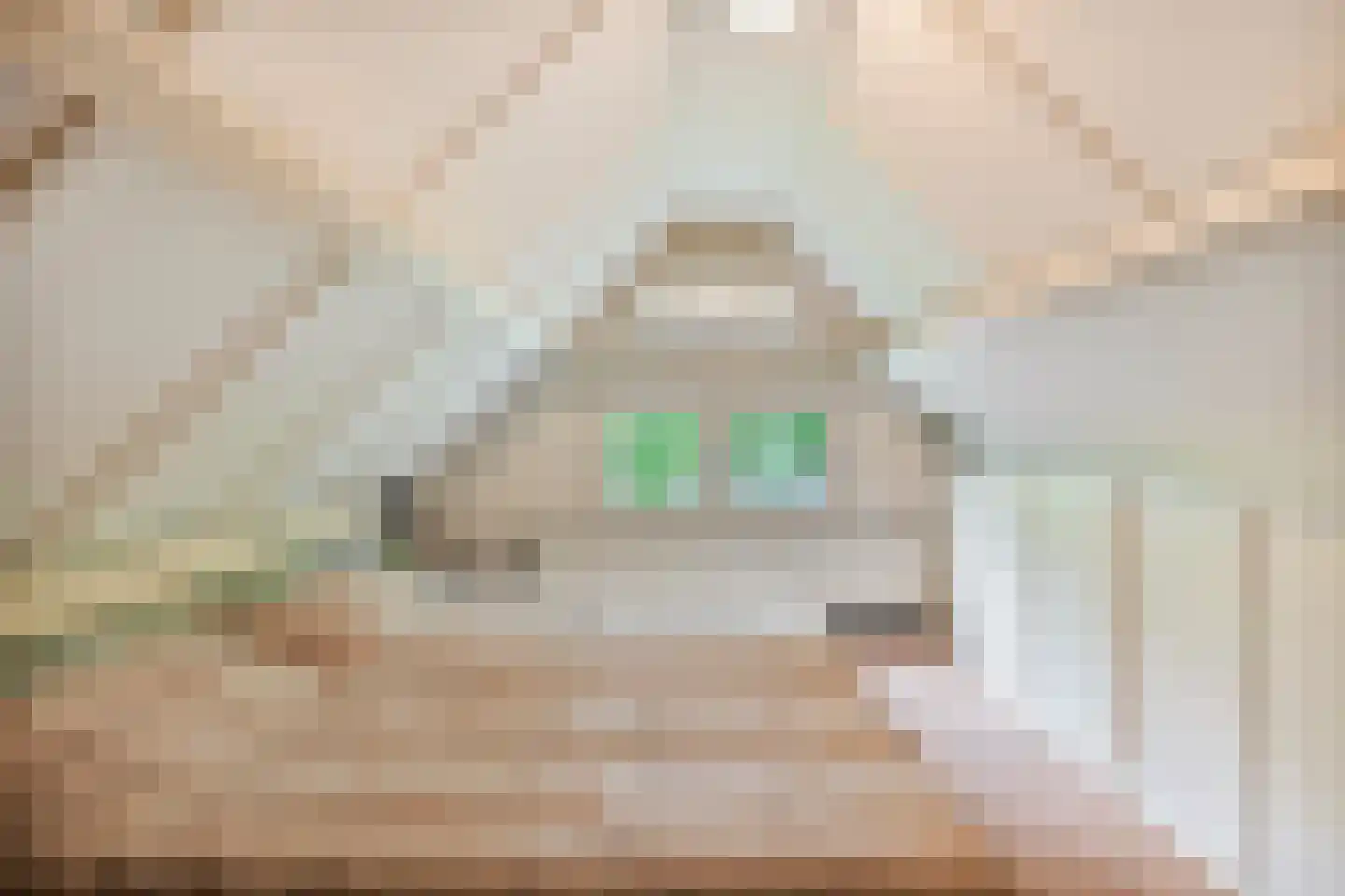 Kruinweg 1 b 118 Simpelveld thumbnail 21