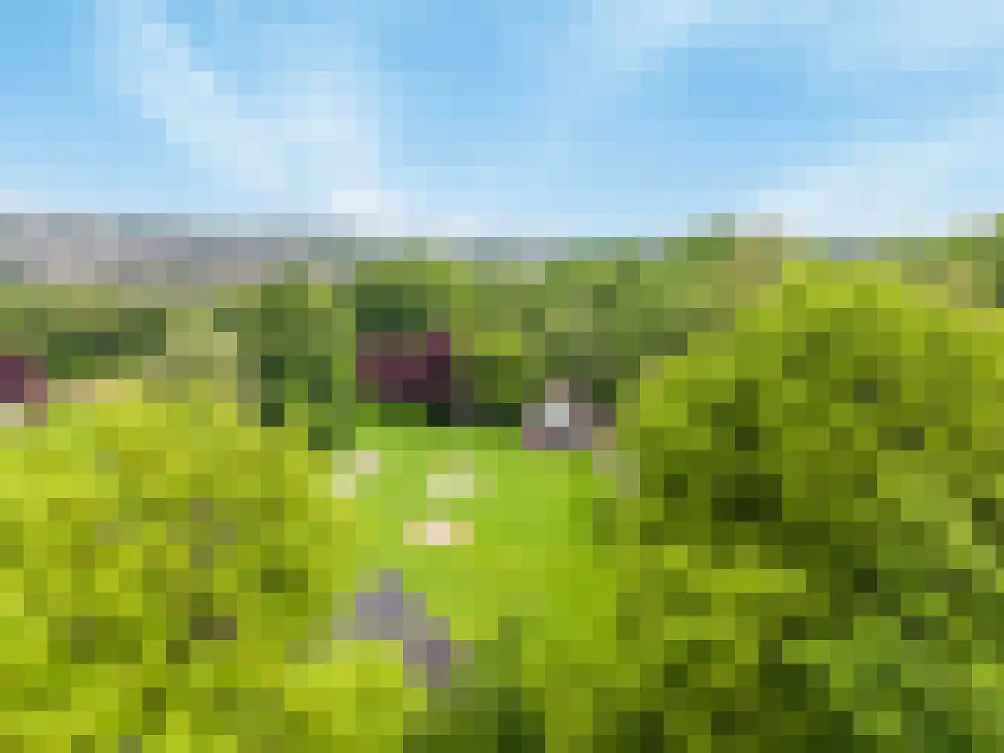 Kruinweg 1 b 118 Simpelveld thumbnail 24