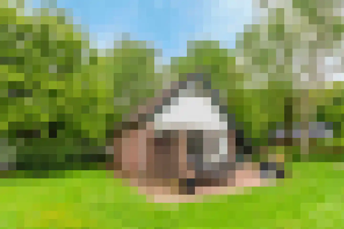 Kruinweg 1 b 118 Simpelveld thumbnail 4