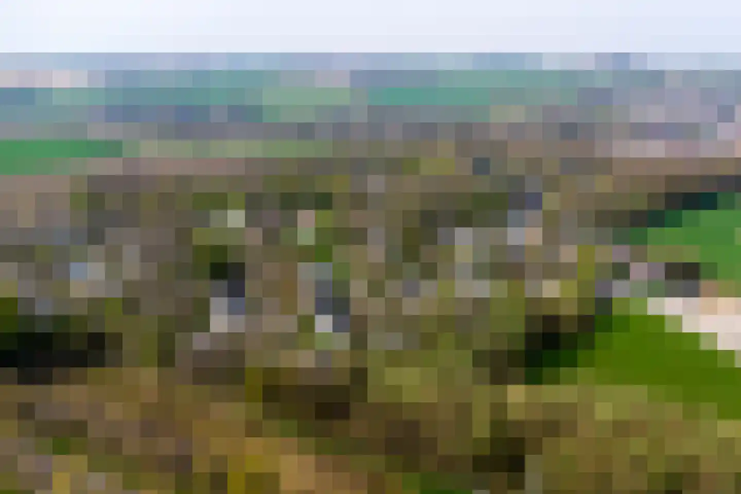Kruinweg 1 b 129 Simpelveld thumbnail 19