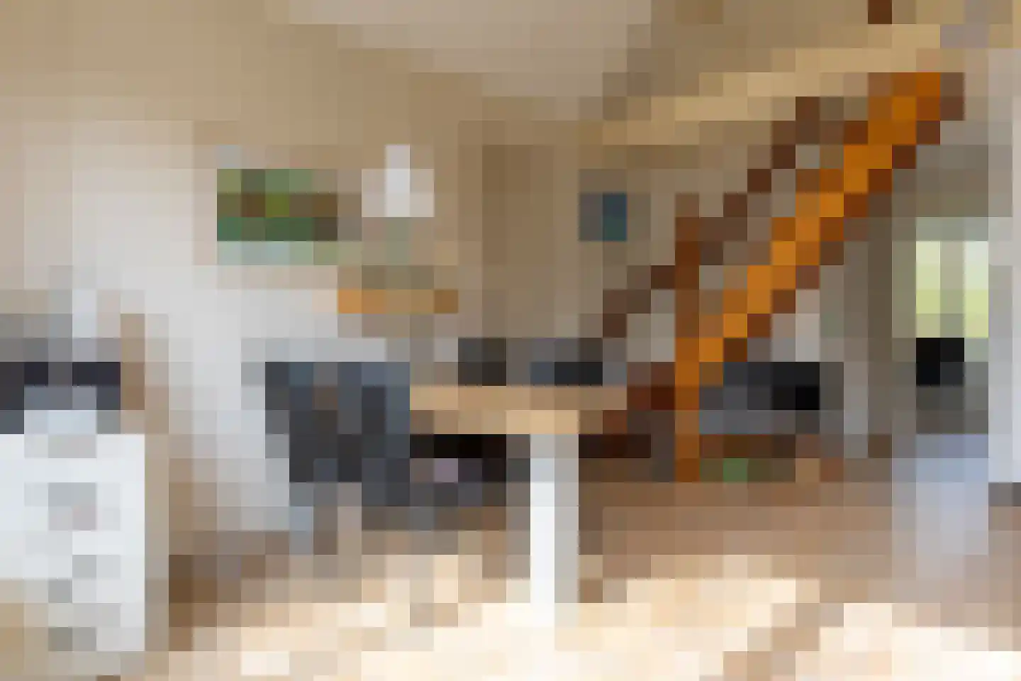 Kruinweg 1 b 129 Simpelveld thumbnail 6