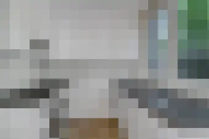 Kruipbrem 53 Rotterdam thumbnail 11