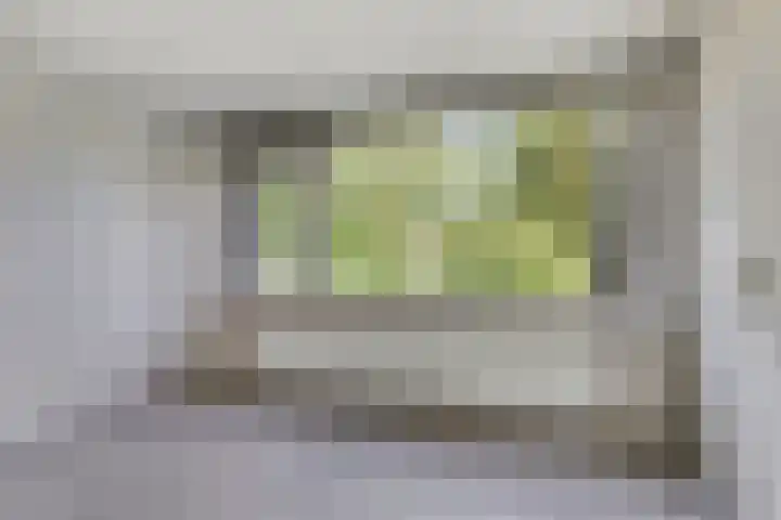 Kruipbrem 53 Rotterdam thumbnail 18