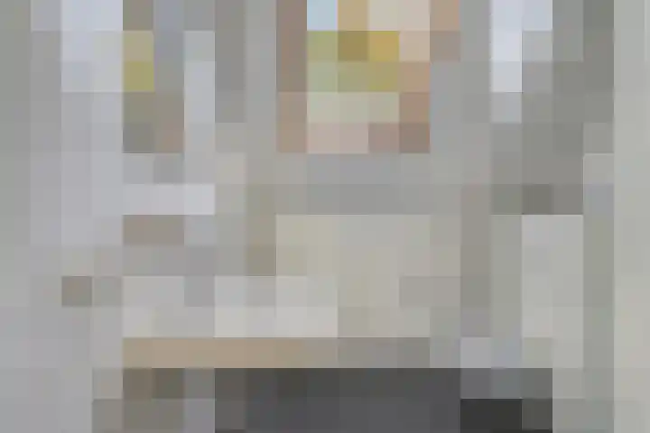 Kruipbrem 53 Rotterdam thumbnail 20