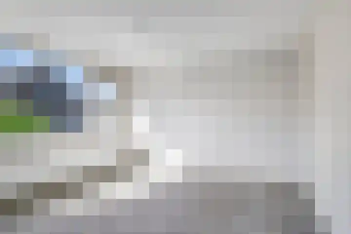 Kruipbrem 53 Rotterdam thumbnail 22