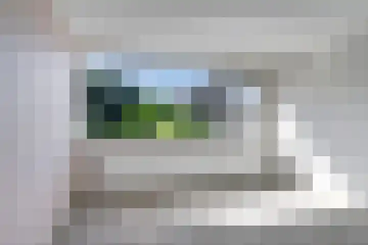 Kruipbrem 53 Rotterdam thumbnail 23