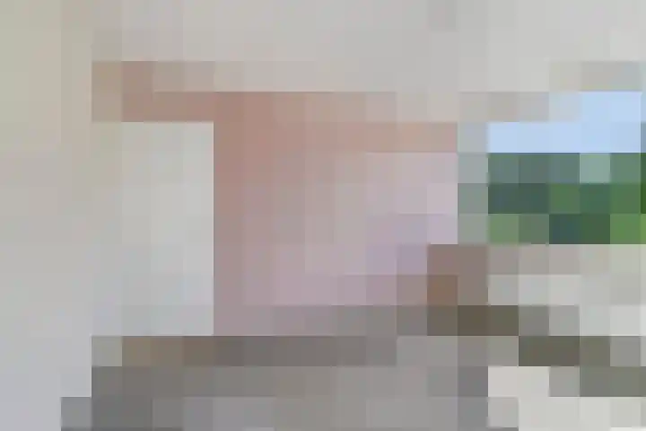 Kruipbrem 53 Rotterdam thumbnail 24