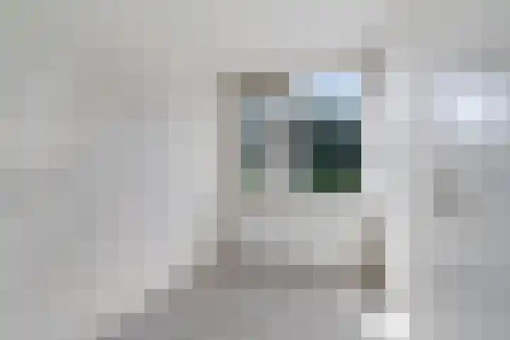 Kruipbrem 53 Rotterdam thumbnail 25