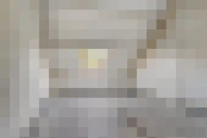 Kruipbrem 53 Rotterdam thumbnail 28