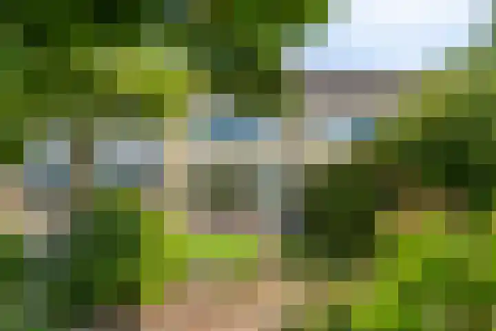 Kruipbrem 53 Rotterdam thumbnail 33