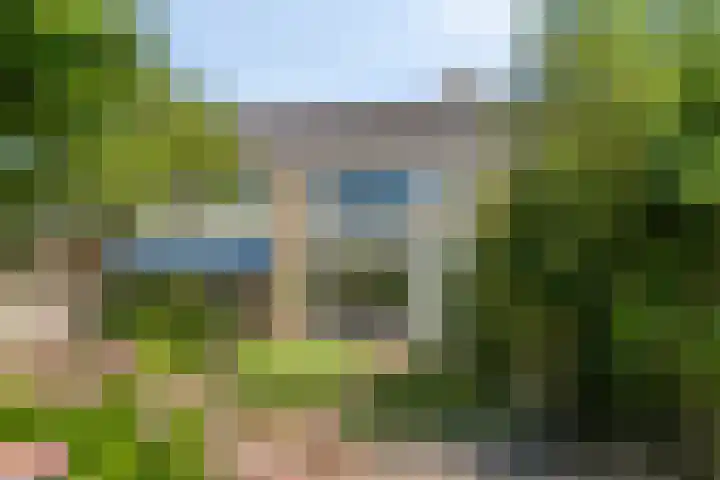 Kruipbrem 53 Rotterdam thumbnail 34