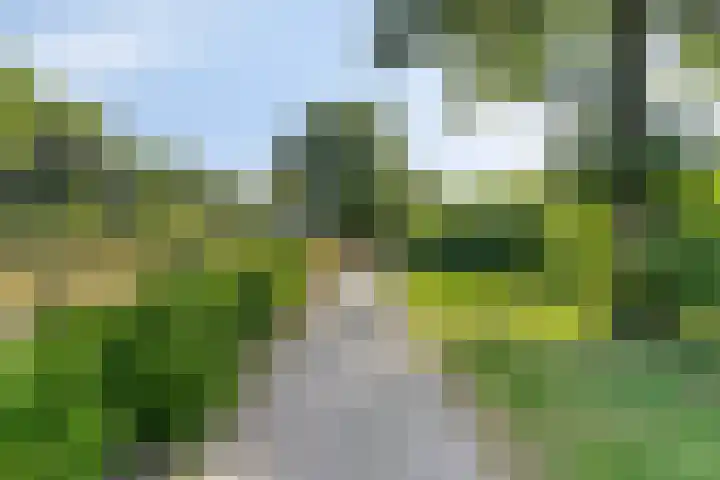 Kruipbrem 53 Rotterdam thumbnail 35