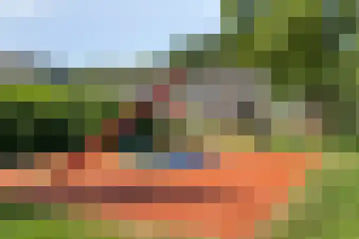 Kruipbrem 53 Rotterdam thumbnail 36