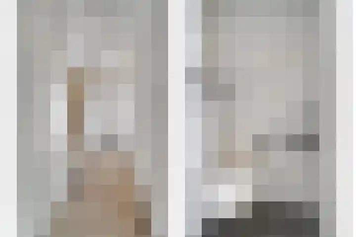 Kruipbrem 53 Rotterdam thumbnail 5