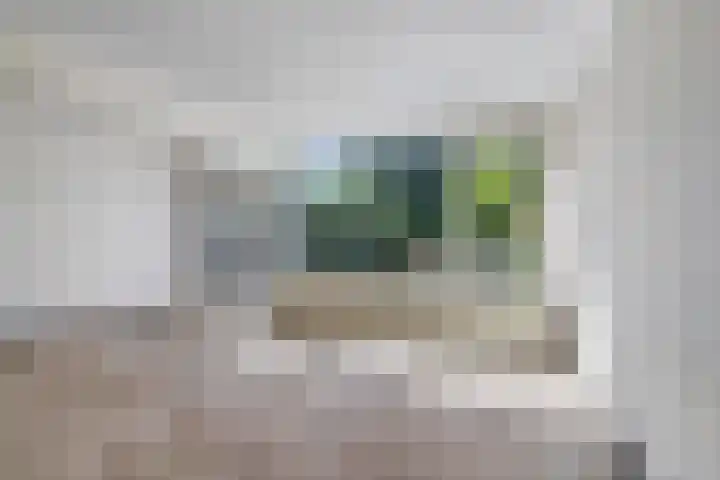 Kruipbrem 53 Rotterdam thumbnail 7
