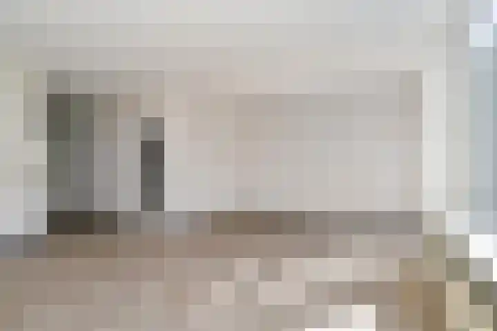 Kruipbrem 53 Rotterdam thumbnail 8