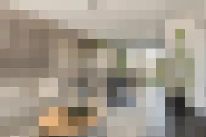 Kruipbrem 54 Rotterdam thumbnail 11