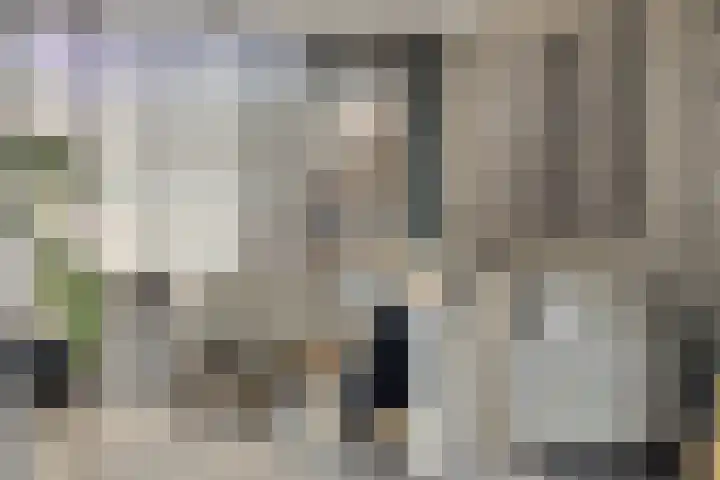 Kruipbrem 54 Rotterdam thumbnail 12