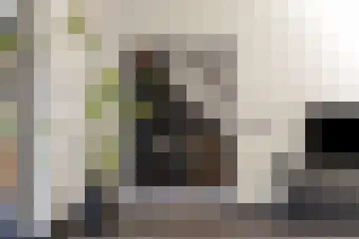 Kruipbrem 54 Rotterdam thumbnail 14