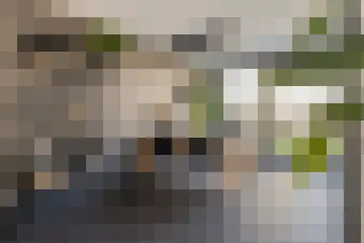 Kruipbrem 54 Rotterdam thumbnail 15