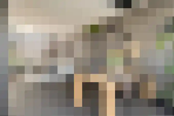 Kruipbrem 54 Rotterdam thumbnail 16