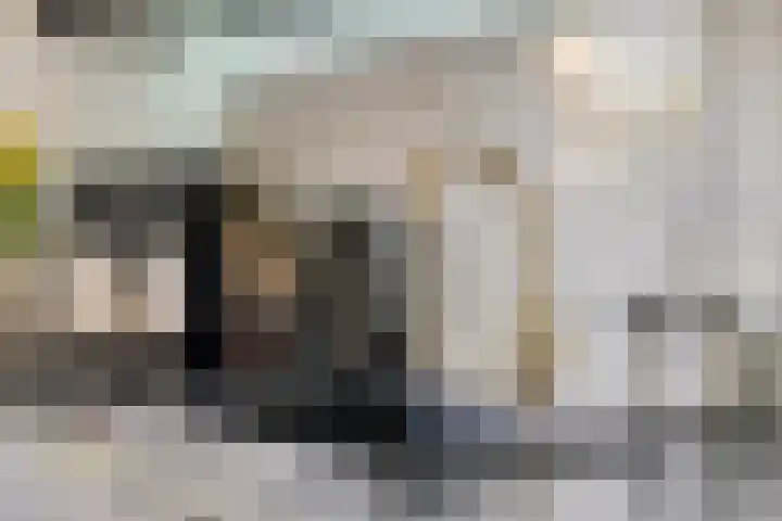 Kruipbrem 54 Rotterdam thumbnail 18