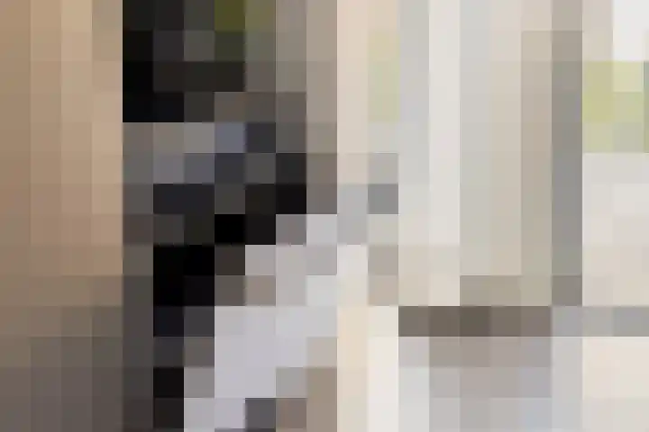 Kruipbrem 54 Rotterdam thumbnail 19