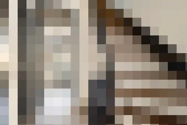 Kruipbrem 54 Rotterdam thumbnail 21